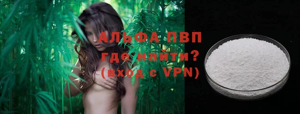 шишки Белокуриха