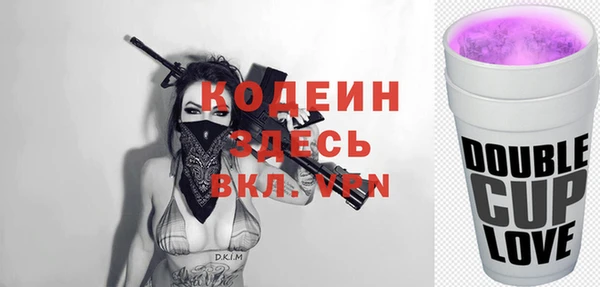 шишки Белокуриха