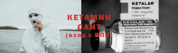 шишки Белокуриха