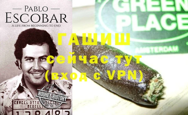 шишки Белокуриха