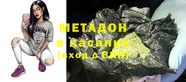 шишки Белокуриха