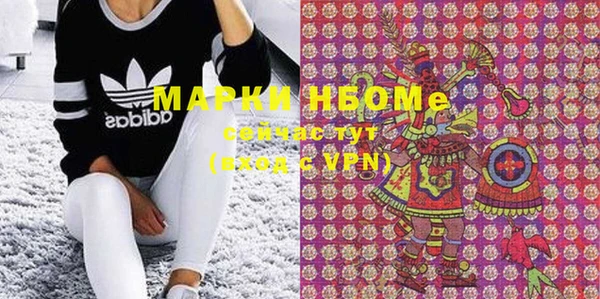 шишки Белокуриха