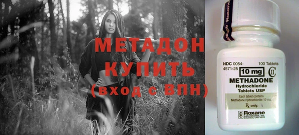 шишки Белокуриха