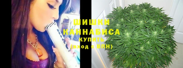шишки Белокуриха