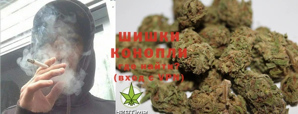 шишки Белокуриха