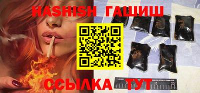 гидра Аргун