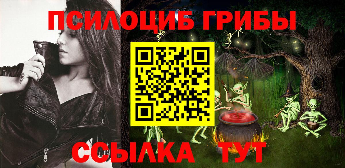 Псилоцибиновые грибы прущие грибы Дагестанские Огни