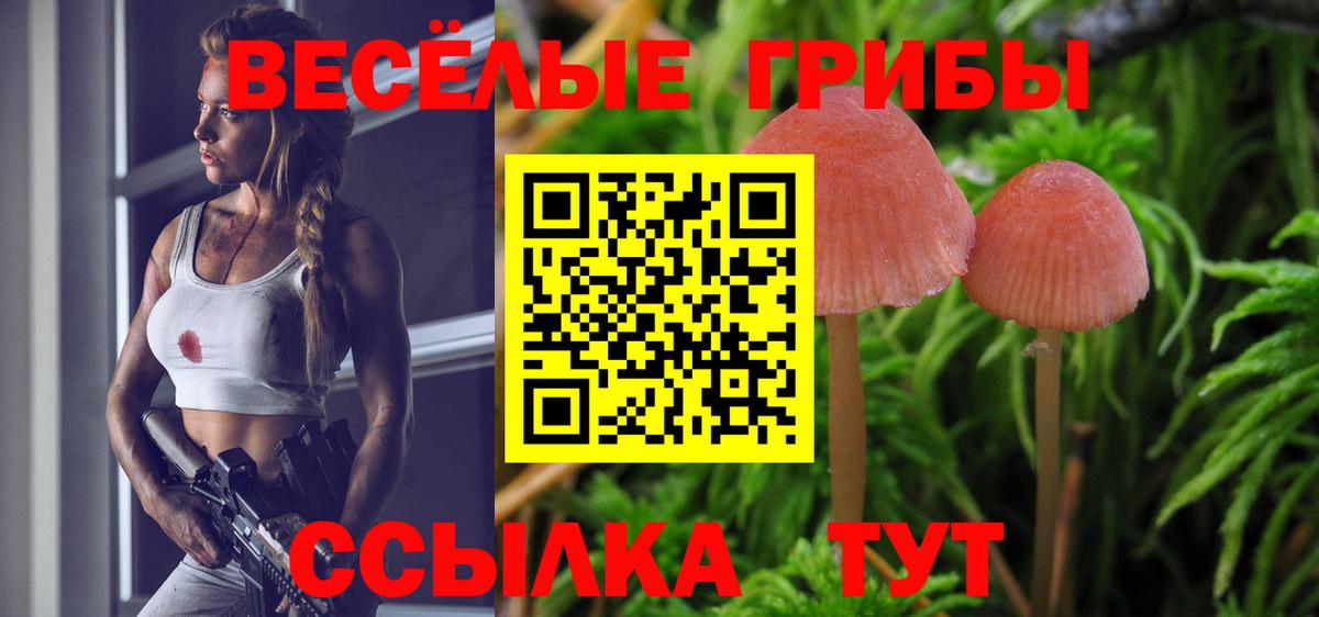 Галлюциногенные грибы MAGIC MUSHROOMS  Вход с VPN  Галлюциногенные грибы мицелий  Дагестанские Огни 