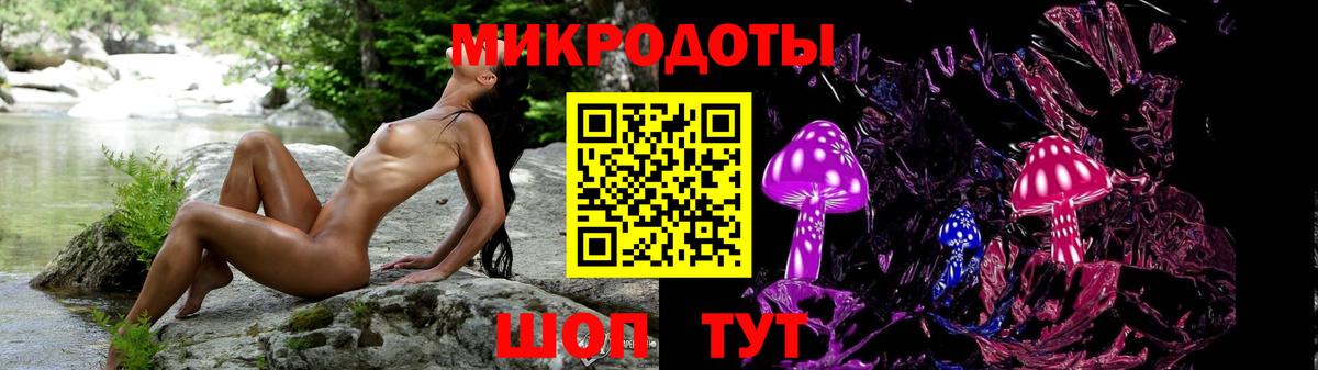 Галлюциногенные грибы Cubensis  Дагестанские Огни 